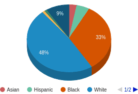 GA All Ethnic Groups Ethnicity Breakdown GA All Ethnic Groups Ethnicity Breakdown
