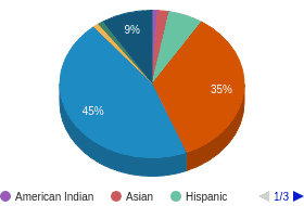 LA All Ethnic Groups Ethnicity Breakdown LA All Ethnic Groups Ethnicity Breakdown