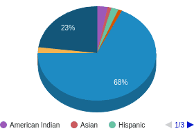 MT All Ethnic Groups Ethnicity Breakdown MT All Ethnic Groups Ethnicity Breakdown