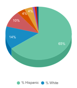 This chart displays the percentage breakdown of students of all ethnic groups in Platt College-Los Angeles. This chart displays the percentage breakdown of students of all ethnic groups in Platt College-Los Angeles.