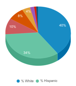 This chart displays the percentage breakdown of students of all ethnic groups in California Aeronautical University. This chart displays the percentage breakdown of students of all ethnic groups in California Aeronautical University.