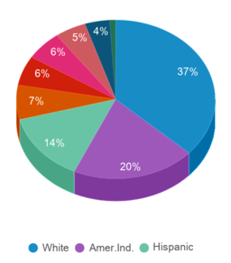 This chart displays the percentage breakdown of students of all ethnic groups in Alaska. This chart displays the percentage breakdown of students of all ethnic groups in Alaska.