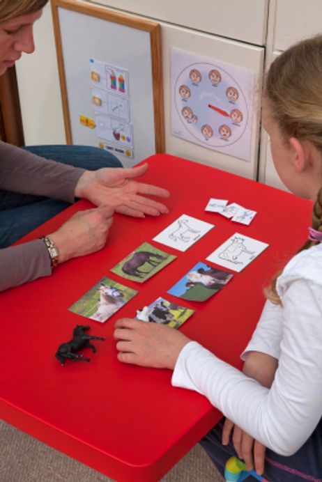 Teacher Training: Autism Teaching Certification Teacher Training: Autism Teaching Certification