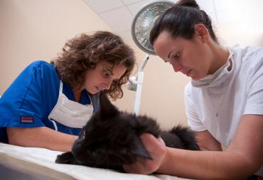 Unlock Your Future: Discovering the Ideal Career Path at Community College