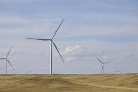 Community Colleges and Careers in Climate Tech and Green Energy