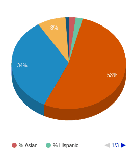 Centura College Virginia Beach Profile 2018 19 Va Centura College Virginia Beach Ethnicity Breakdown