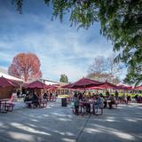 Compton College Photo #4 - Students gather in a vibrant outdoor seating area at Compton College, enjoying meals and conversation beneath red umbrellas. The space is framed by trees in seasonal bloom, creating a welcoming environment.