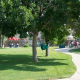 Bel-Rea Institute Of Animal Technology Photo #6 - Large lawn with mature trees
