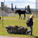 Northern Maine Community College Photo #9 - You never know who might walk onto campus!