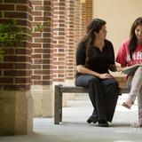 Maria College of Albany Photo #1 - Learning takes place inside and outside classrooms with frequent professor and student interactions.
