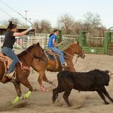 Central Wyoming College Photo #3 - CWC Rodeo