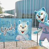 Chandler-Gilbert Community College Photo #8 - Howl Yeah Coyotes!
