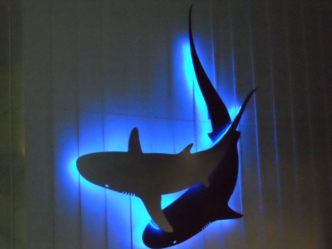 Oregon Coast Community College Photo - OCCC's Aquarium Science Building shark logo at night.