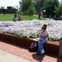 Volunteer State Community College Photo #8 - Studying on campus