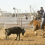 Western Texas College Photo #8 - The Men's and Women's Rodeo teams are nationally ranked.