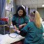 Edmonds College Photo #6 - The college has career training programs in Clinical Lab Assistant, Electrocardiography (EKG) Technician, Health Unit Coordinator (HUC), Medical Information Technology, Nurse Assistant, Patient Care Technician, Pharmacy Technician, Phlebotomy Technician and Practical Nursing (LPN). It also offers an Associate in Pre-Nursing degree which prepares students to transfer directly to a school of nursing for a bachelor of science in nursing.