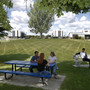 City College at Montana State University-Billings Photo #2