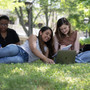 Raritan Valley Community College Photo #1 - Students working on a project out on the courtyard lawn